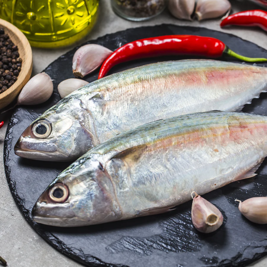 അയല (Mackerel)